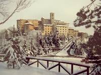 Cronaca di gennaio 2010