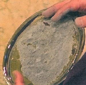 Mercoled� delle ceneri